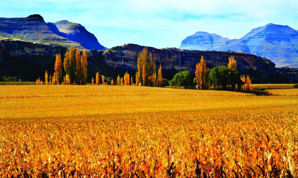 Lola'S Self Catering Accommodation Clarens Exteriér fotografie